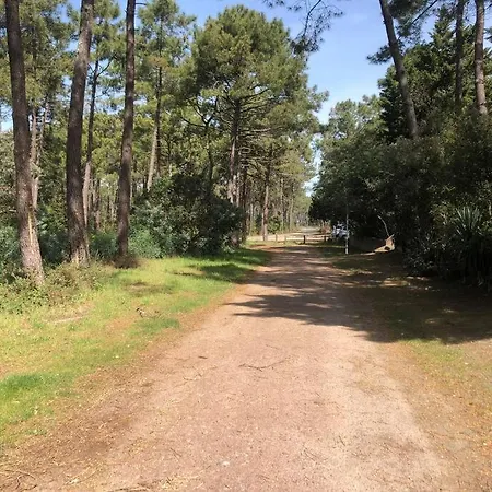 Сasa de vacaciones Clade: Chaleureuse Et Agreable Maison De Lacanau